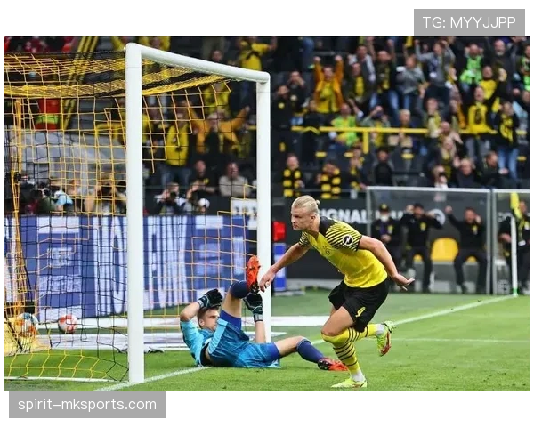 德甲球星转会风云再起，夏窗市场前景引热议