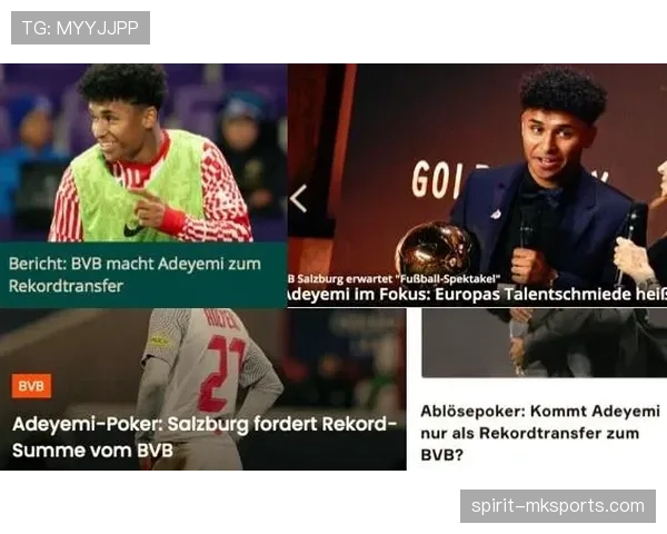 德甲转会策略研究：近期引援布局与竞争力提升分析